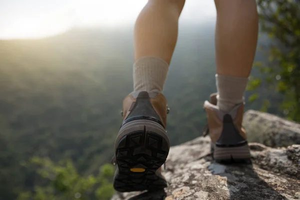 Exitoso Excursionista Disfrutar Vista Cima Montaña Borde Del Acantilado —  Fotos de Stock