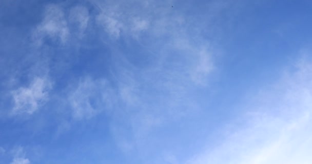 Ροή Άσπρα Σύννεφα Μπλε Φόντο Ουρανό — Αρχείο Βίντεο