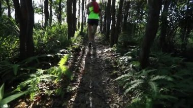 Tropikal ormanda koşan genç bir kadın koşucu.
