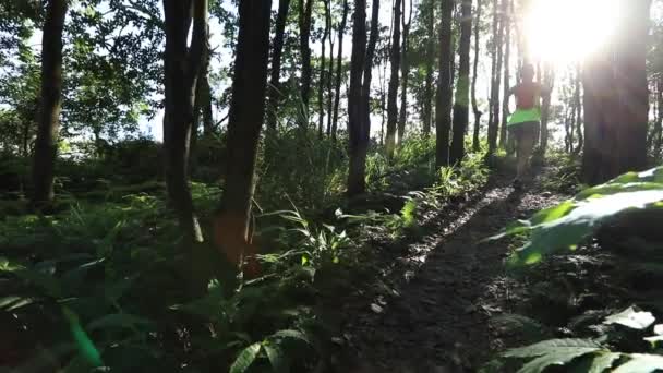 Young Woman Trail Runner Running Tropical Forest — Stock Video