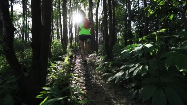 Giovane Corridore Sentiero Donna Esecuzione Nella Foresta Tropicale — Video Stock