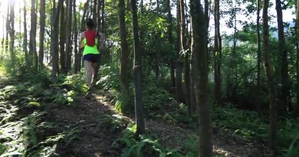 Young Woman Trail Runner Running Tropical Forest — Stock Video