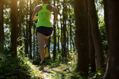 Gündoğumu tropikal ormanlarında koşan genç bir kadın koşucu.