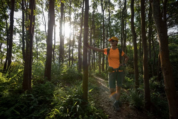 Woman Hiker Hiking Summer Sunrise Forest Mountain — Stock Photo, Image