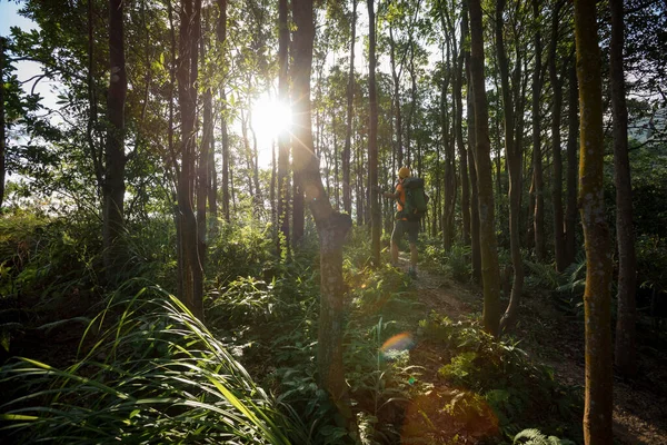 夏季日出森林山中的女徒步旅行者 — 图库照片