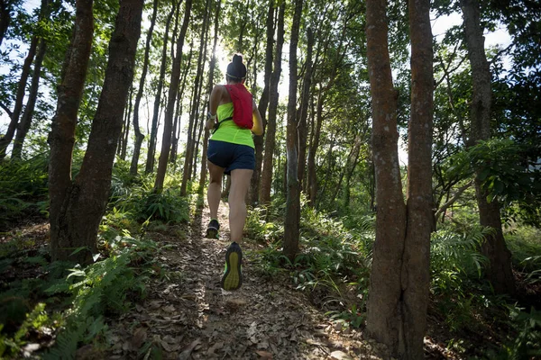 健康女子径赛选手在热带森林中奔跑 — 图库照片