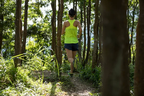 Fitness Kvinna Trail Runner Kör Tropisk Skog — Stockfoto