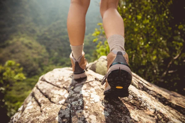 Lyckad Vandrare Njuta Utsikten Bergstoppen Klippkant — Stockfoto