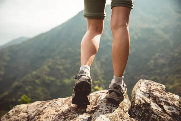 Escursionista Successo Godersi Vista Sulla Cima Della Montagna Bordo Scogliera — Foto Stock