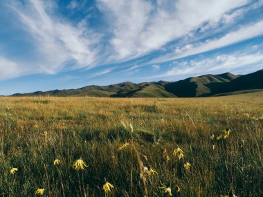 Çayır manzaralı yüksek irtifa dağları