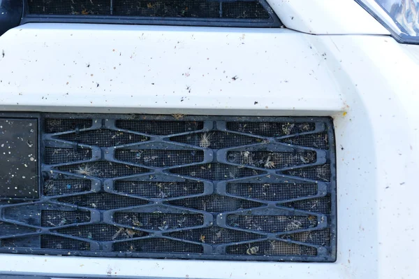 虫子和苍蝇坠毁在汽车散热器的格栅里 — 图库照片