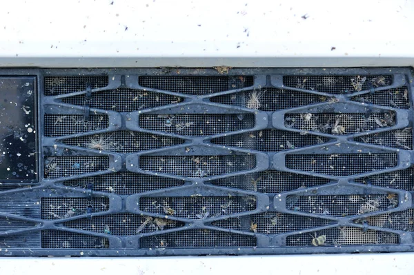 虫子和苍蝇坠毁在汽车散热器的格栅里 — 图库照片
