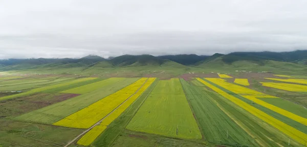中国科勒花的空中无人侦察机全景 — 图库照片
