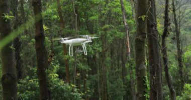 Beyaz dron sonsuz yeşil tropikal ormanda uçuyor.