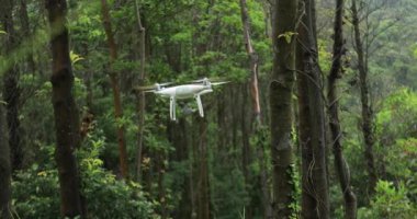 Beyaz dron sonsuz yeşil tropikal ormanda uçuyor.