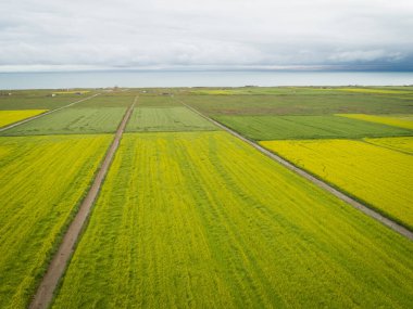 Çin 'deki Cole Flowers' ın hava aracı görüntüsü