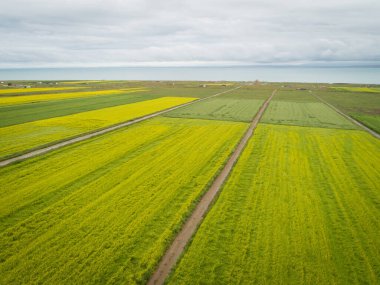 Çin 'deki Cole Flowers' ın hava aracı görüntüsü
