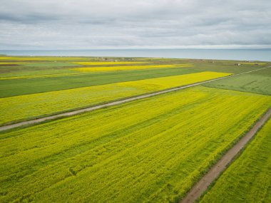 Çin 'deki Cole Flowers' ın hava aracı görüntüsü