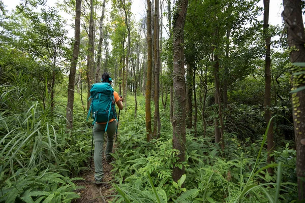 Yaz Gündoğumu Orman Dağında Yürüyüş Yapan Bir Kadın — Stok fotoğraf