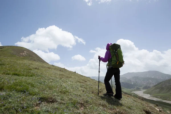 Başarılı kadın yürüyüşçü yüksek rakımlı dağın zirvesine tırmanıyor.