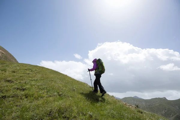 Úspěšná Žena Turistka Lezení Vysoké Nadmořské Výšce Mountian Top — Stock fotografie