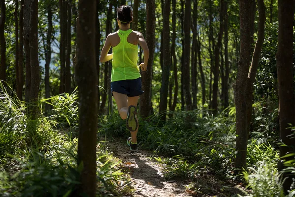 Fitness Kvinna Trail Runner Kör Tropisk Skog — Stockfoto
