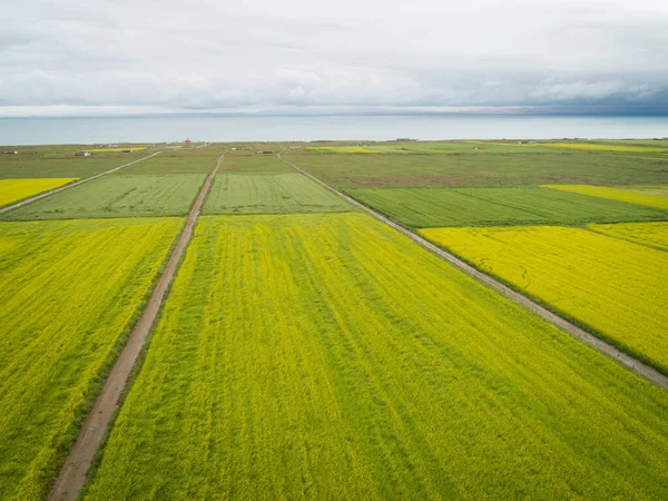 Çin 'deki Cole Flowers' ın hava aracı görüntüsü