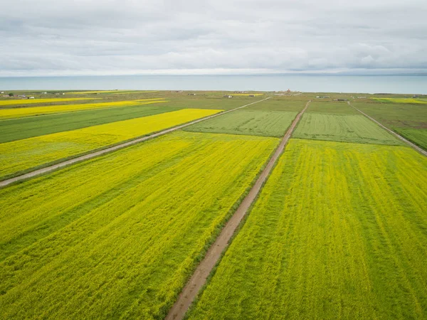 Çin 'deki Cole Flowers' ın hava aracı görüntüsü
