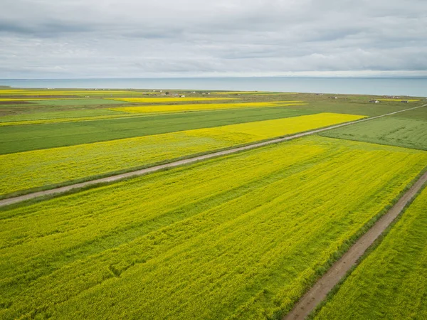 Çin 'deki Cole Flowers' ın hava aracı görüntüsü