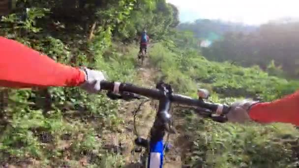 Dois Amigos Atravessam País Bicicleta Montanha Floresta Tropical — Vídeo de Stock