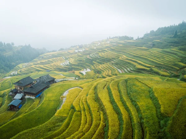 Belo Campo Arroz Terraço Com Pequenas Casas China — Fotografia de Stock