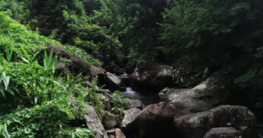 Tropikal yağmur ormanlarındaki güzel küçük dereyle şelaleye yaklaşan insansız hava aracı görüntüsü 