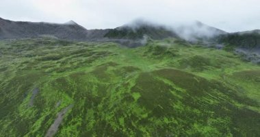 Bulutlu bir gökyüzü altında yemyeşil manzaralı puslu dağların hava görüntüleri.  