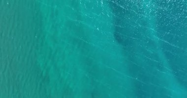 Derin mavi okyanus sularının yüzeye yansıyan güneş ışığıyla yakın çekim videosu..