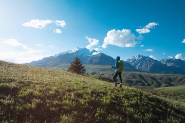 Sırt çantası ve yürüyüş direkleri olan bir kadın yeşil bir dağ sırtında yürür.