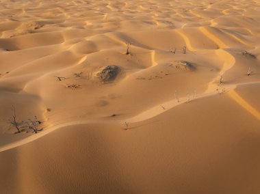 Sıcak çöl kum tepecikleri akşam ışığı altında dalgalanarak dokulu bir desen oluşturur..