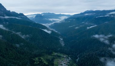 Bulutlu bir gökyüzünün altındaki yemyeşil ağaçların arasından süzülen yoğun sis ile kasvetli ve gizemli bir orman manzarası..