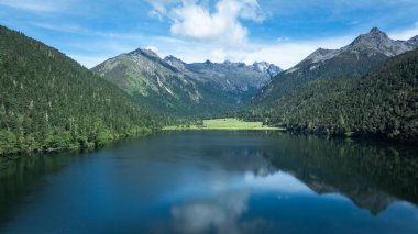 Çin, Sichuan 'daki güzel orman manzarası