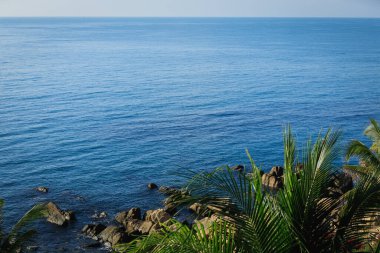 Palmiye yaprakları ve deniz dalgası yüzeyi