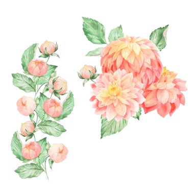 Pembe sarı dahlia düzenleme buketleri ile suluboya seti. Sonbahar tebrik, davet, düğün, web tasarım, hime ve tekstil çiçek dekor için kullanılabilir