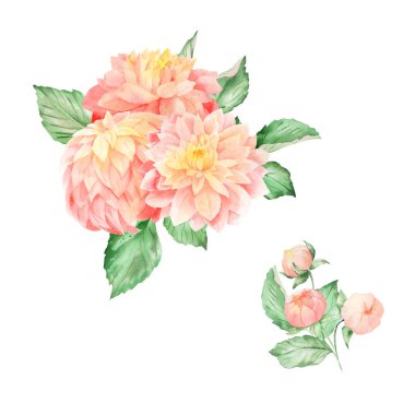 Pembe sarı dahlia düzenleme buketleri ile suluboya seti. Sonbahar tebrik, davet, düğün, web tasarım, hime ve tekstil çiçek dekor için kullanılabilir