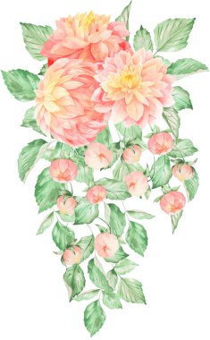 Suluboya pembe sarı dahlia düzenleme buket. Sonbahar tebrik, davet, düğün, web tasarım ve tekstil çiçek dekor için kullanılabilir