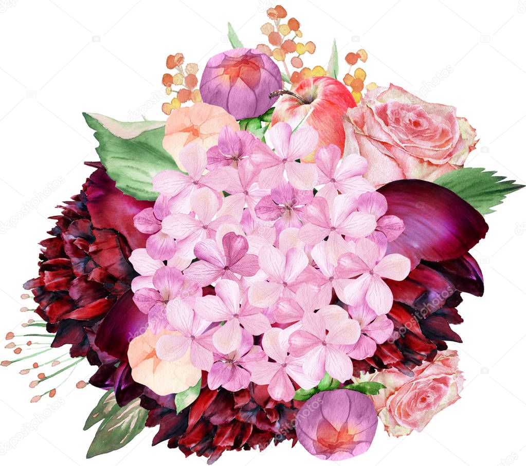 Watercolor burgundy and blush floral  bouquet with hydrangea, dahlia, apples. Could be used for wedding invites, engagement cards and other romantic events.