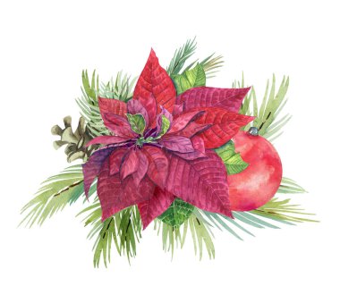 Kırmızı noktalı çiçek desenli suluboya Noel düzenlemesi. El boyası geleneksel çiçek, çam kozalağı ve köknar dalı beyaz arka planda izole. Tatil baskısı