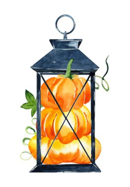 Sonbahar Balkabağı Clipart Sarı balkabağı ve fener dijital klipsi Şükran Günü, Cadılar Bayramı, doğum günü kartı yapımı, yücelik. 