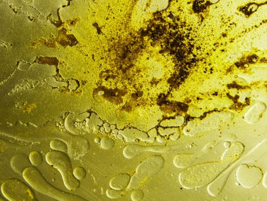 Kalıplı sarı soyut arkaplan. Farklı damla şekillerine sahip sarı renkli soyut arkaplan, ayak izlerine benzer..