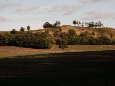 Tepede renkli sonbahar ağaçları olan arka planda yarım tonluk bir alan.