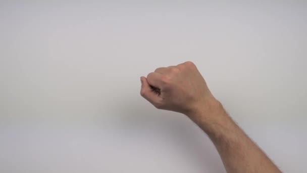 Hand White Background Shows Different Gestures — Stock Video