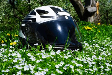 bahçede elma çiçeği