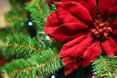 Bir şekilde dekore edilmiş Chrismas ağaç, yeni yıl.